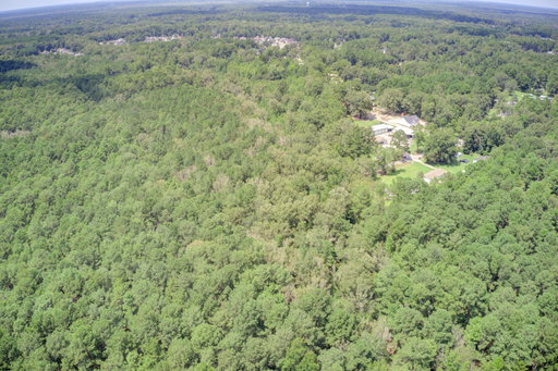 Media Image 3