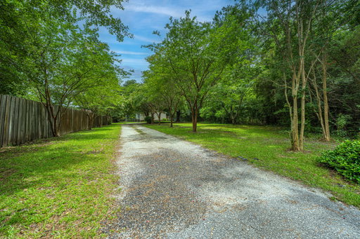 Media Image 3