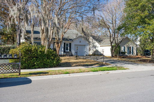 Media Image 3