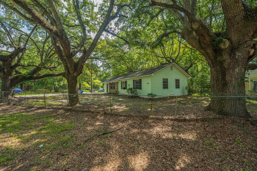 Media Image 3