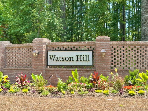 Media Image 2