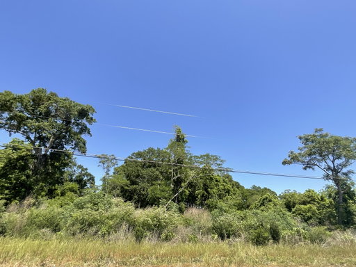 Media Image 3