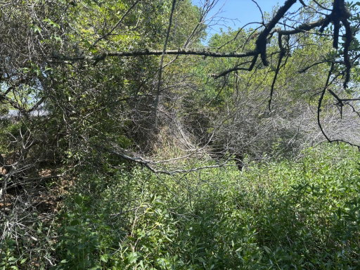 Media Image 2
