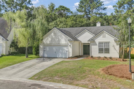 Media Image 2