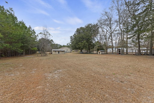 Media Image 2
