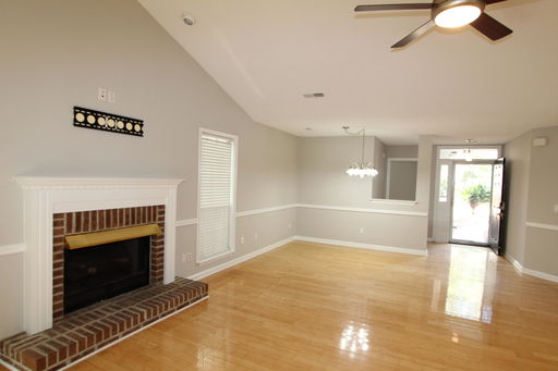 Media Image 3