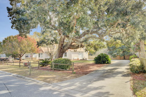 Media Image 3
