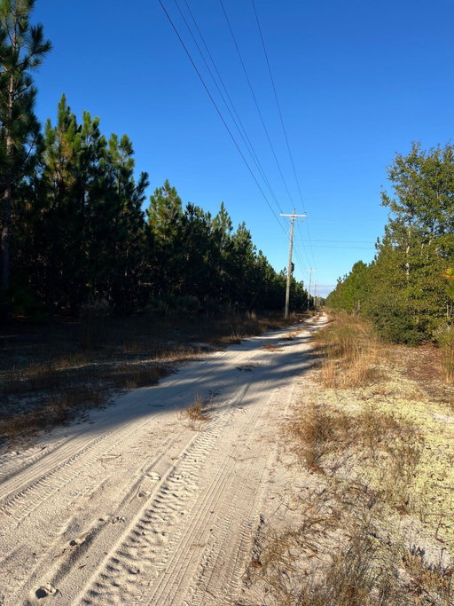 Media Image 2