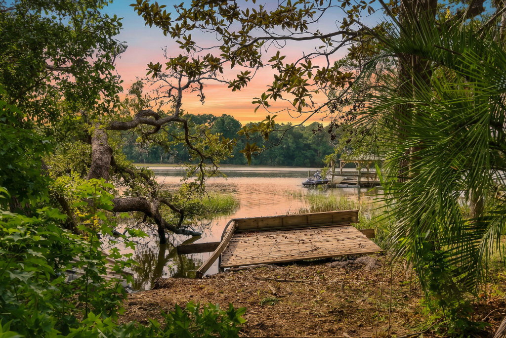 Image Unavailable