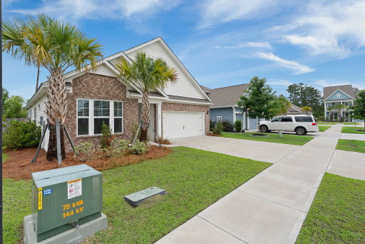 Media Image 3