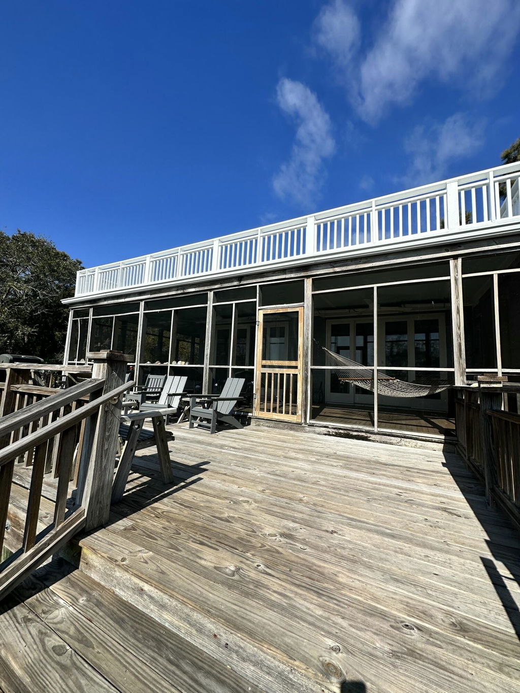 Media Image 1