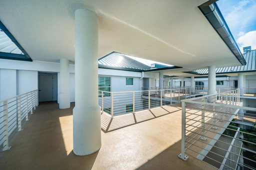 Media Image 2