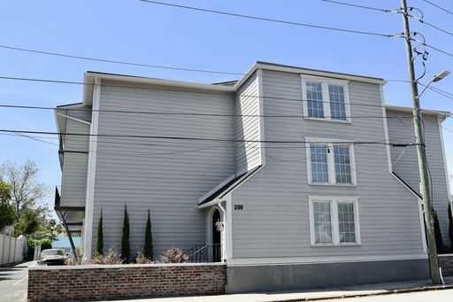 Media Image 3