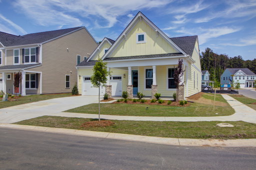 Media Image 3