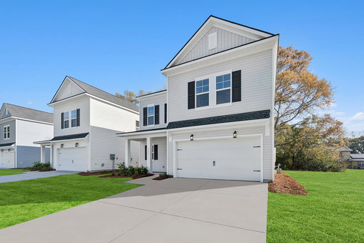 Media Image 2