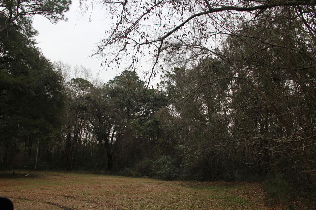 Media Image 1