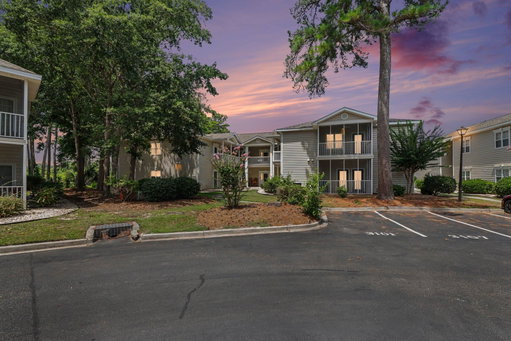 Media Image 2
