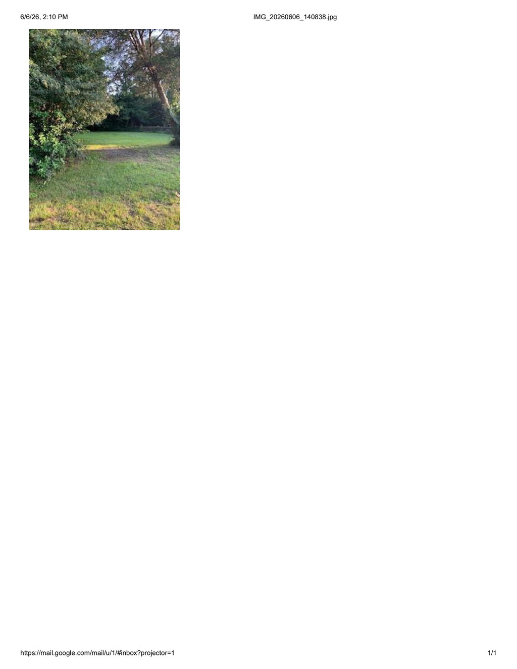 Image Unavailable