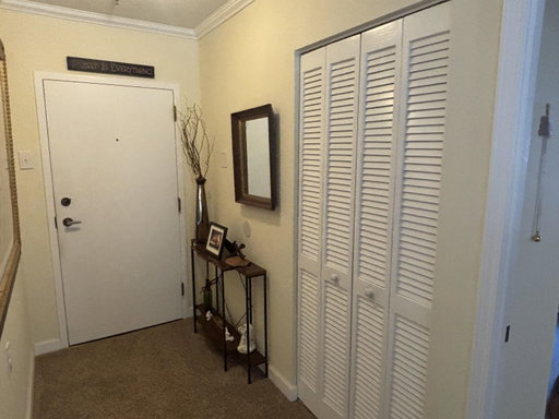 Media Image 3