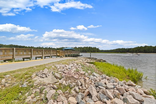 Media Image 2