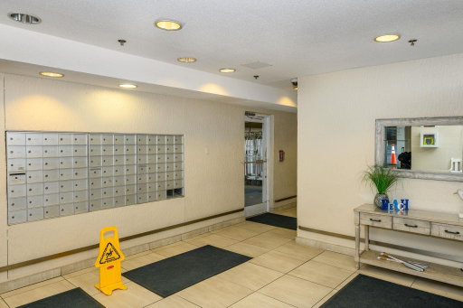 Media Image 3