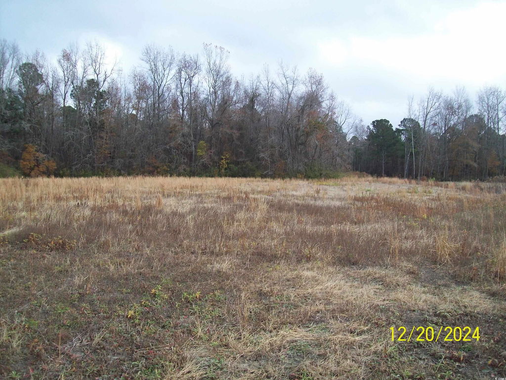 Media Image 1