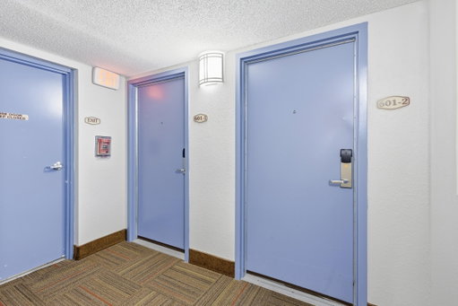 Media Image 3