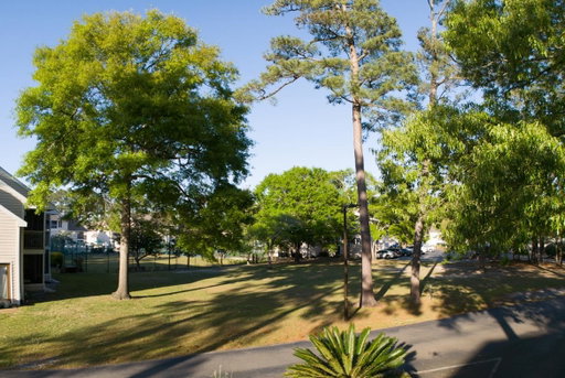 Media Image 3