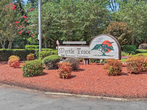 Media Image 2