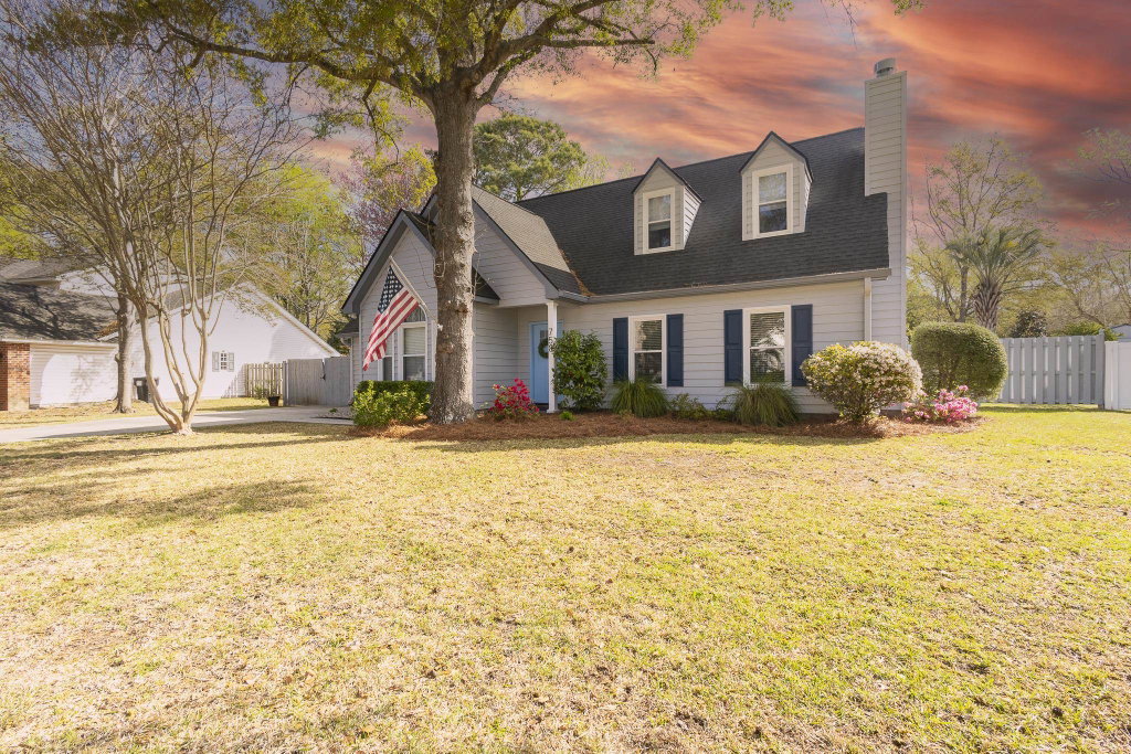 Media Image 1