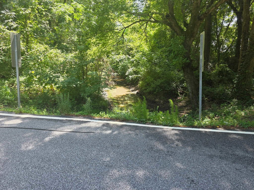 Image Unavailable