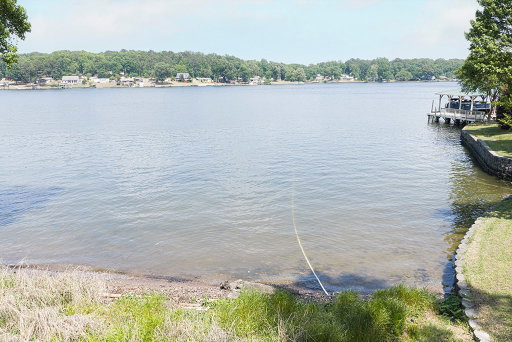 Media Image 3
