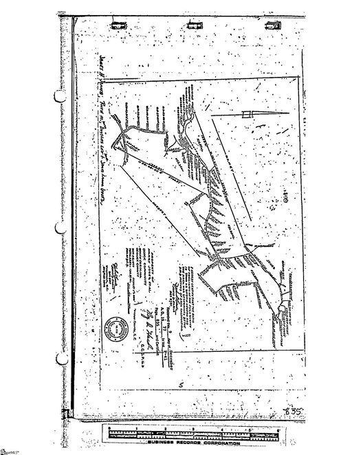 Media Image 3