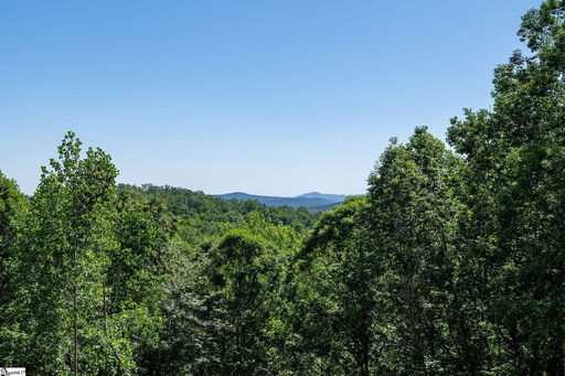 Media Image 2