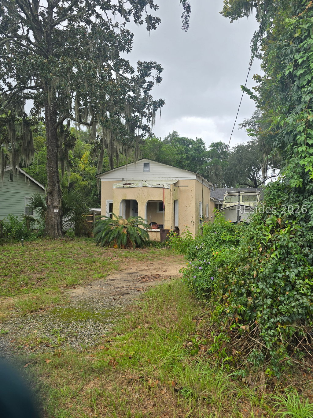 Media Image 1