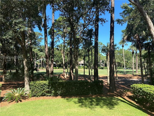 Media Image 3