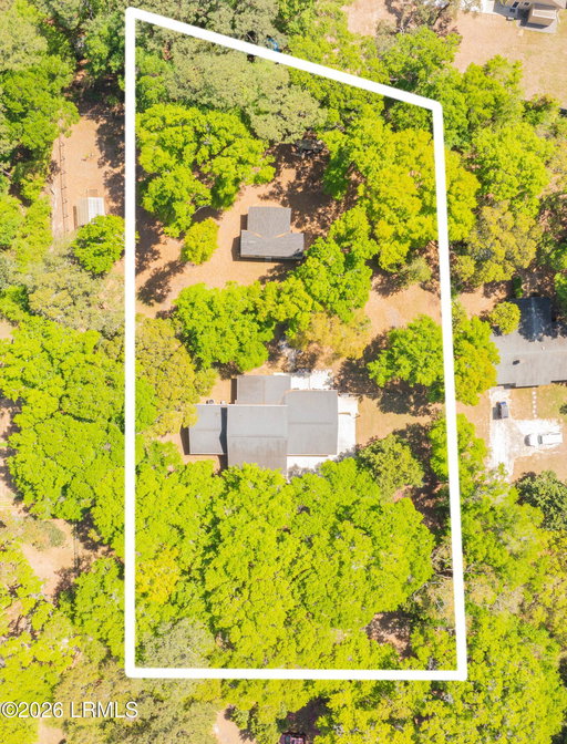 Media Image 3