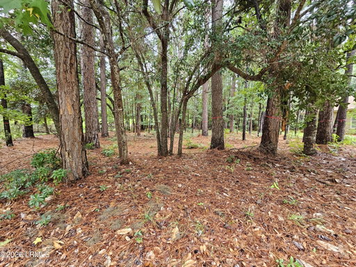 Media Image 2