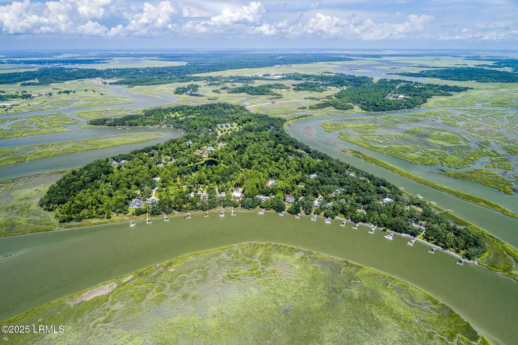 Media Image 1