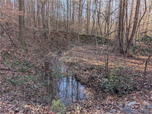 Media Image 3