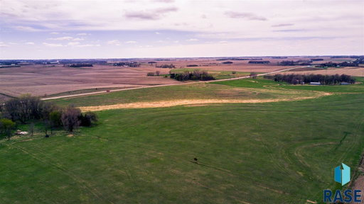 Media Image 3