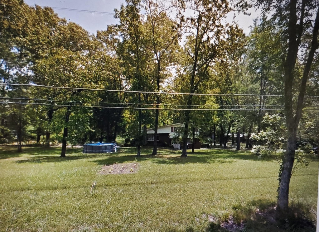 Media Image 1