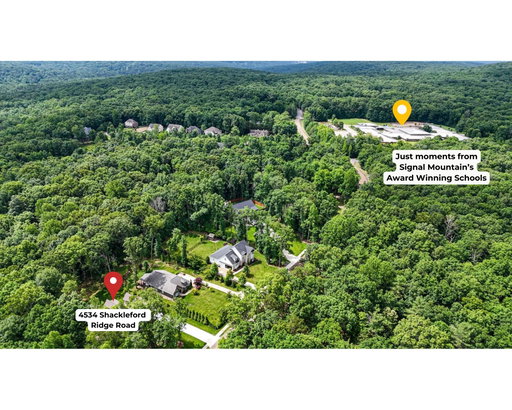 Media Image 3