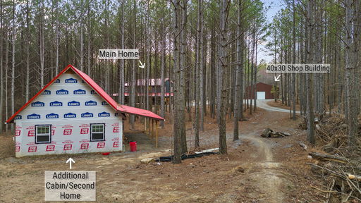 Media Image 2