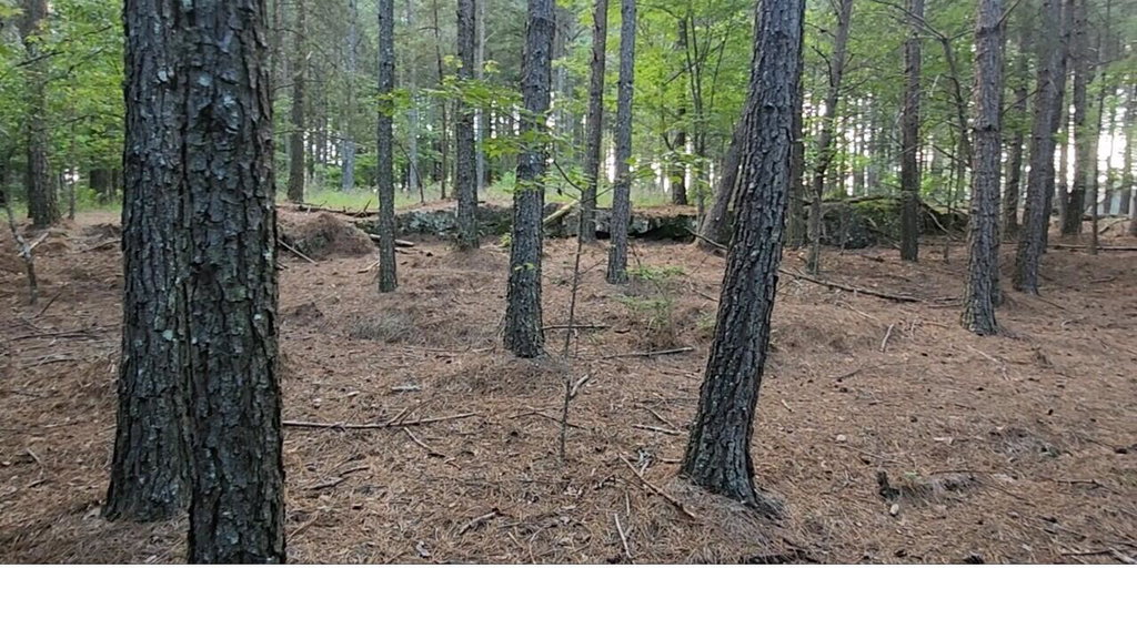 Image Unavailable