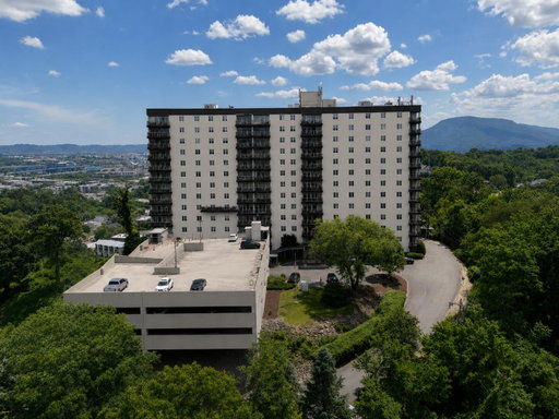 Media Image 2