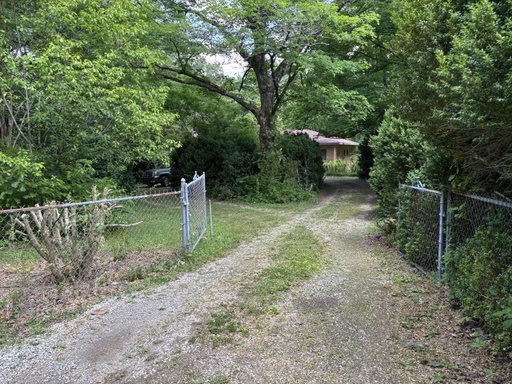 Media Image 2
