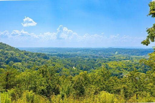 Media Image 2