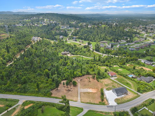 Media Image 2