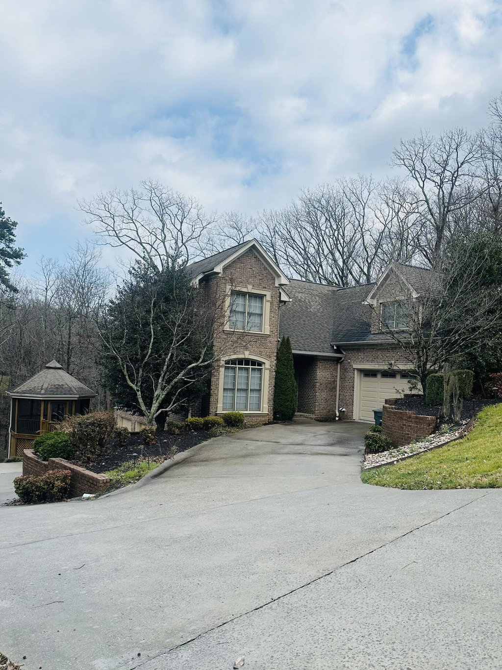 Media Image 1